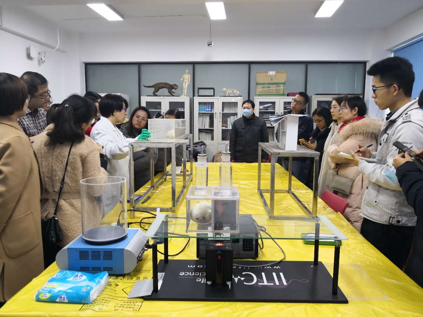 足球投注