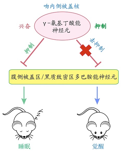足球投注